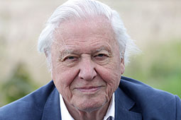 David Attenborough: remembering 5 extraordinary moments that celebrate our planet