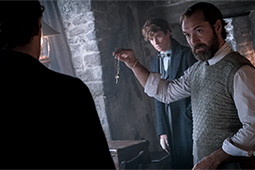 Fantastic Beasts 3: the secrets of Albus Dumbledore that we hope to discover