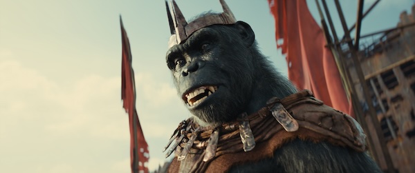 Image of Proximus Caesar in Kingdom of the Planet of the Apes film