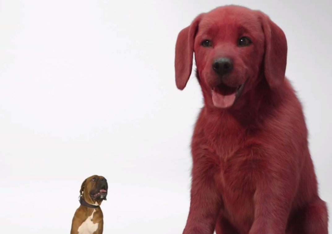 Meet Clifford: The Big Red Dog in this behind the scenes video