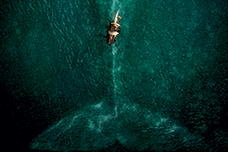 Exclusive interview: director Ron Howard reveals In the Heart of the Sea secrets
