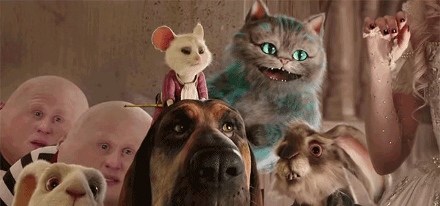 Alice Through the Looking Glass: real-life cats weirder than the
