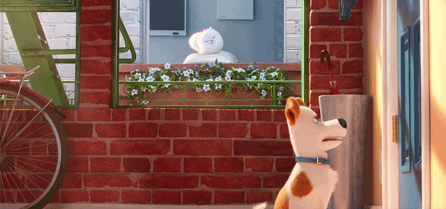 Our 5 favourite talking animal movies #TheSecretLifeOfPets